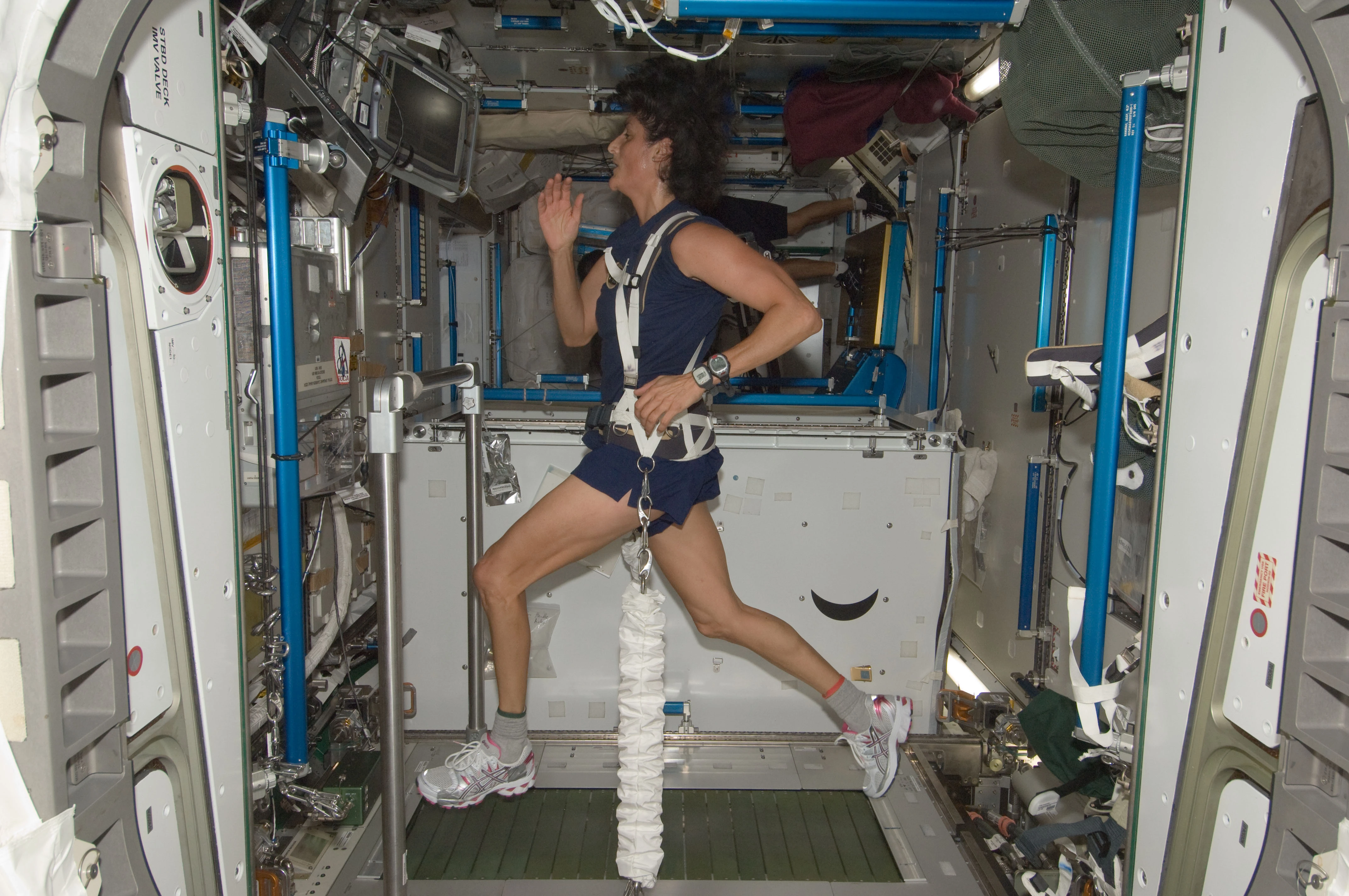 Astronaut using space treadmill with harness